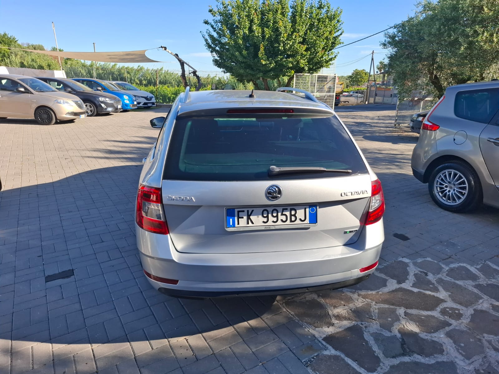 SKODA Octavia Wagon DSG Style cambio automatico DSG 1.6 TDI anno 2017 