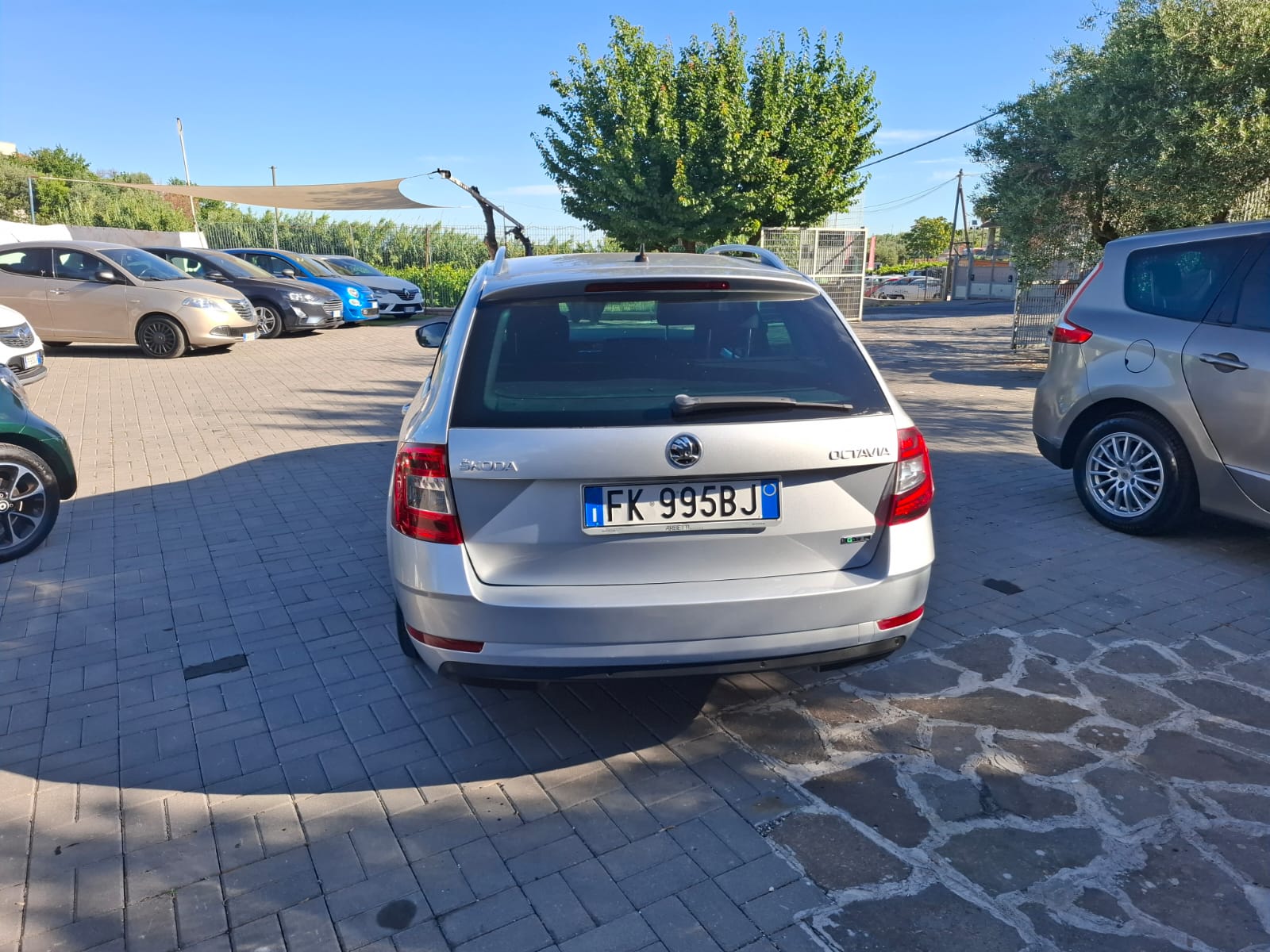 SKODA Octavia Wagon DSG Style cambio automatico DSG 1.6 TDI anno 2017 